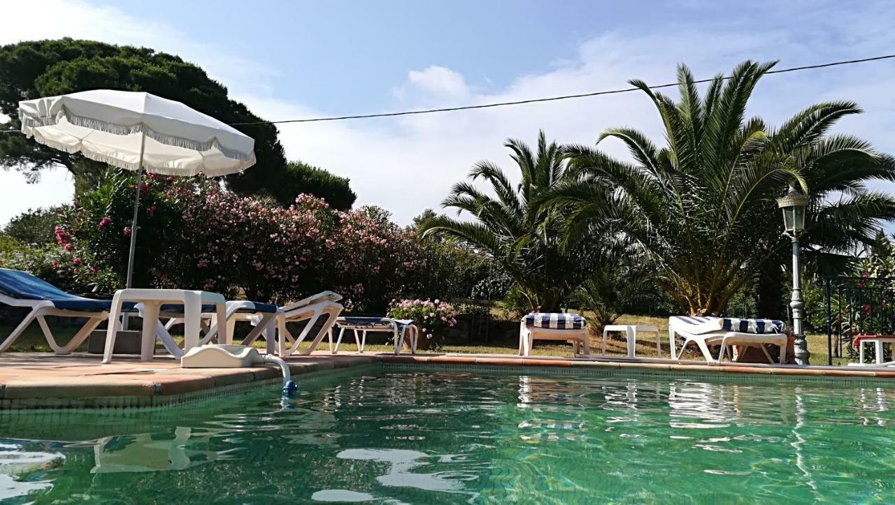 1321 Route De L'Escalet Villa Les Oliviers 拉马蒂埃勒 外观 照片