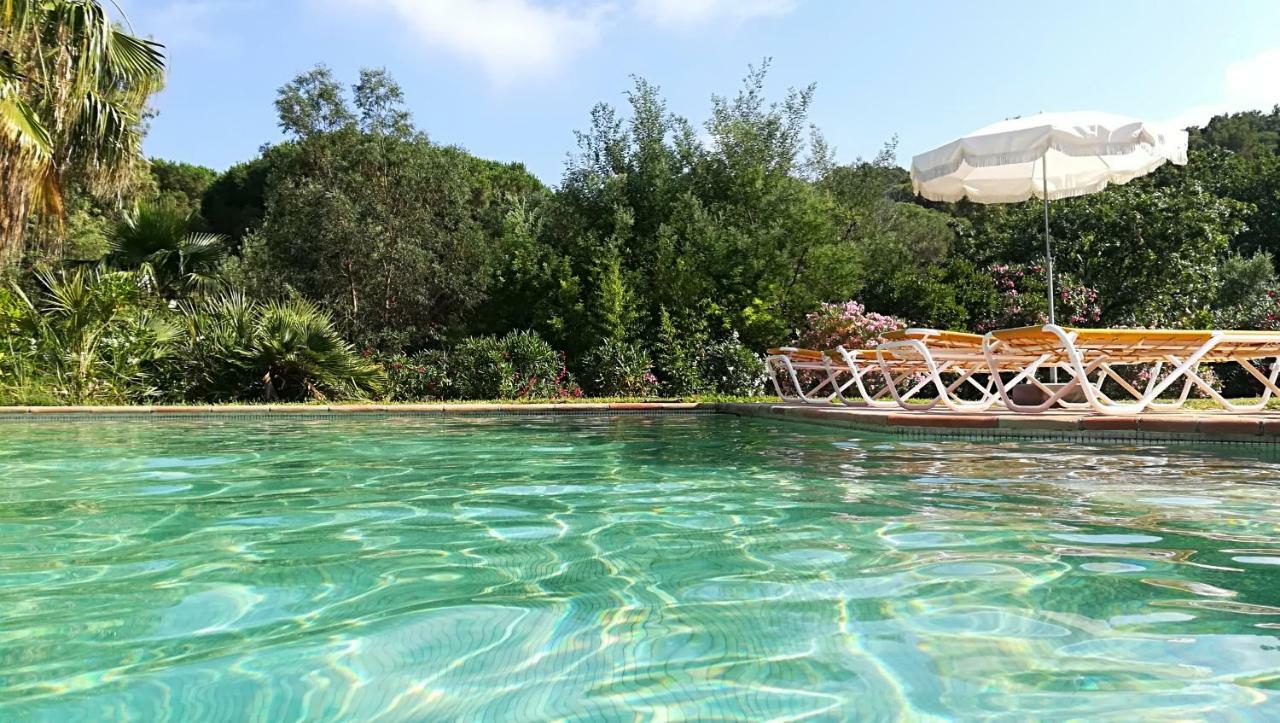 1321 Route De L'Escalet Villa Les Oliviers 拉马蒂埃勒 外观 照片